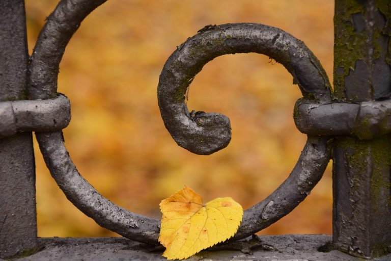 U.S. Court Orders Coinbase to Share Information about Account Holders with the IRS but Limits to Transactions over $20,000