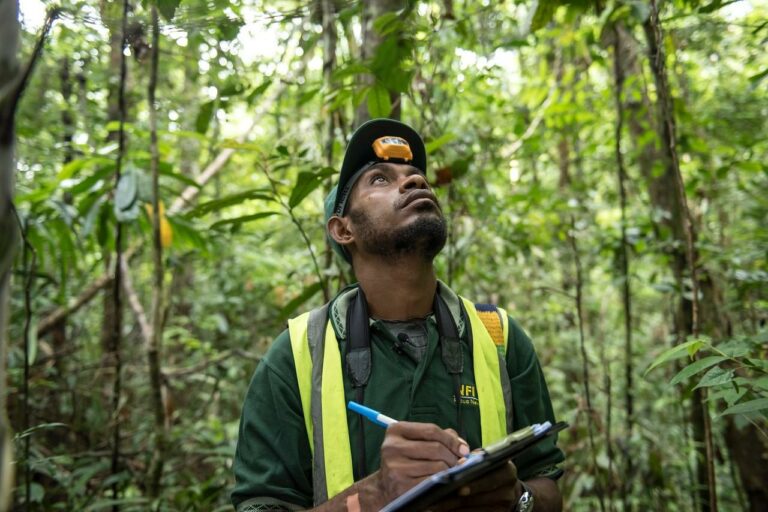 IOSCO publishes a final report to help its members develop sound and well-functioning compliance carbon markets